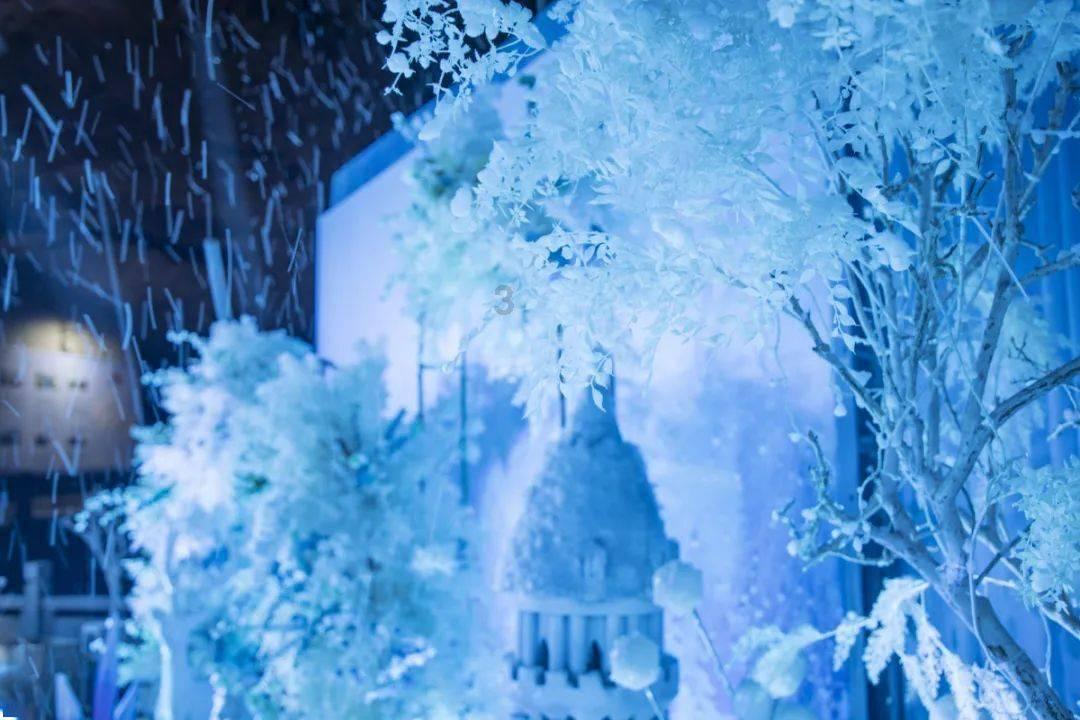 拯救精灵的土地9