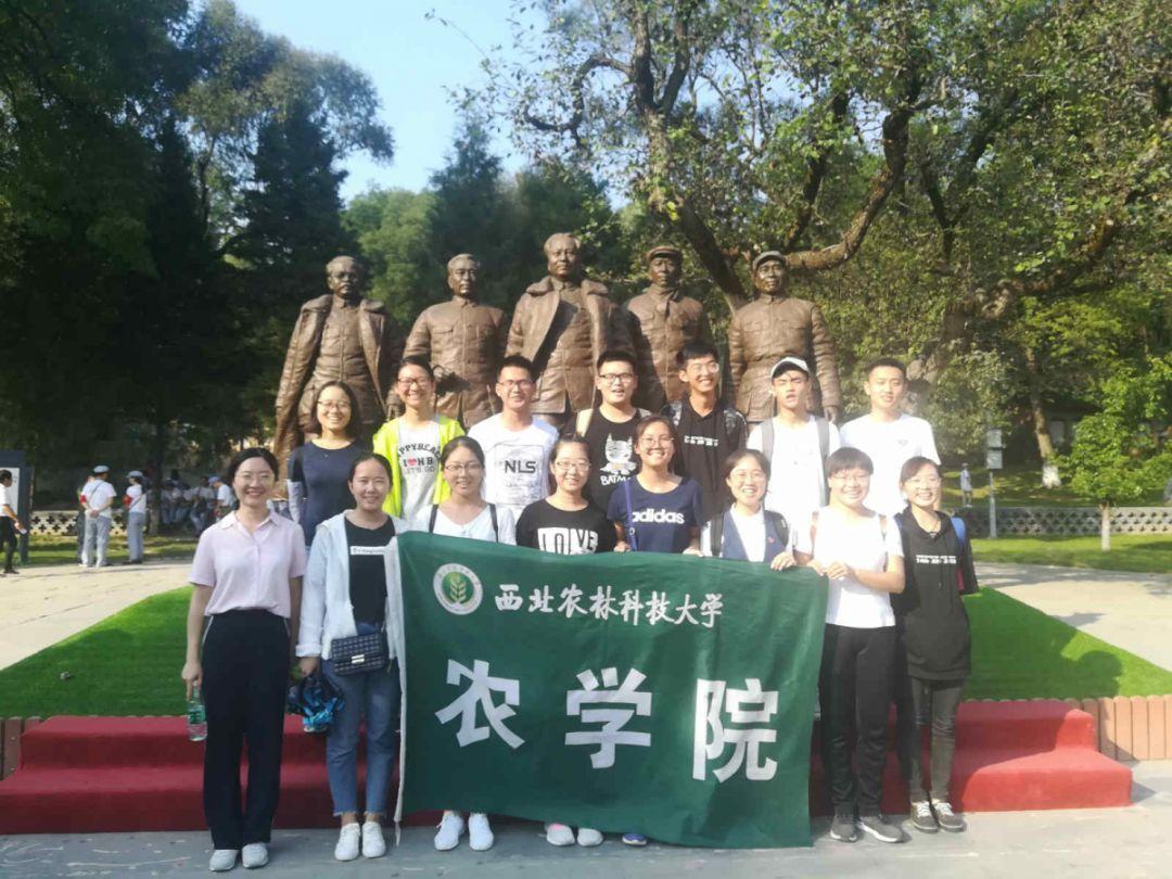 引球进框